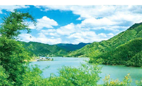 環衛車輛管理方案